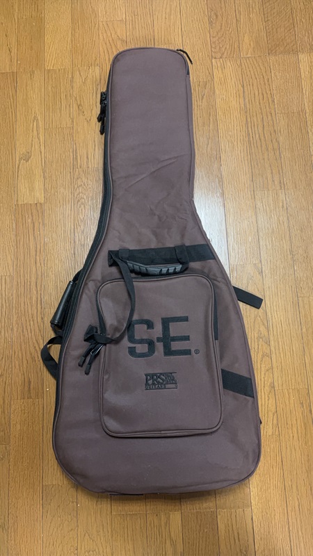 P.R.S. SE Custom24 SBの画像